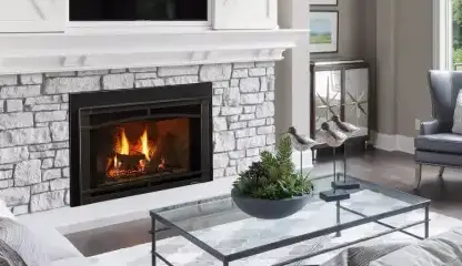 Everything You Need to Know About Fireplace InsertsImage